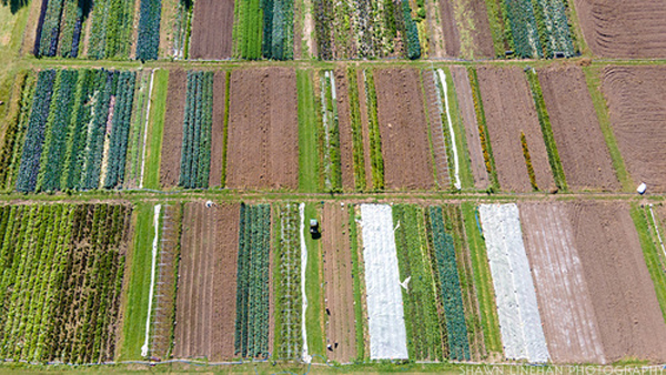 20201006_Wild_Roots_Farm_0327