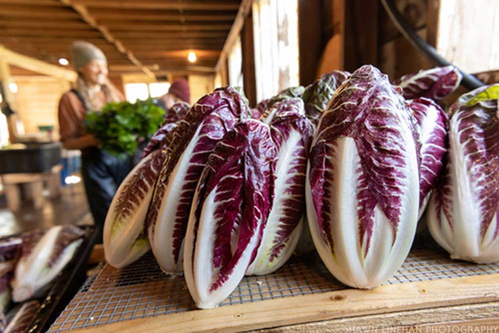 20201006_Wild_Roots_Farm_6255