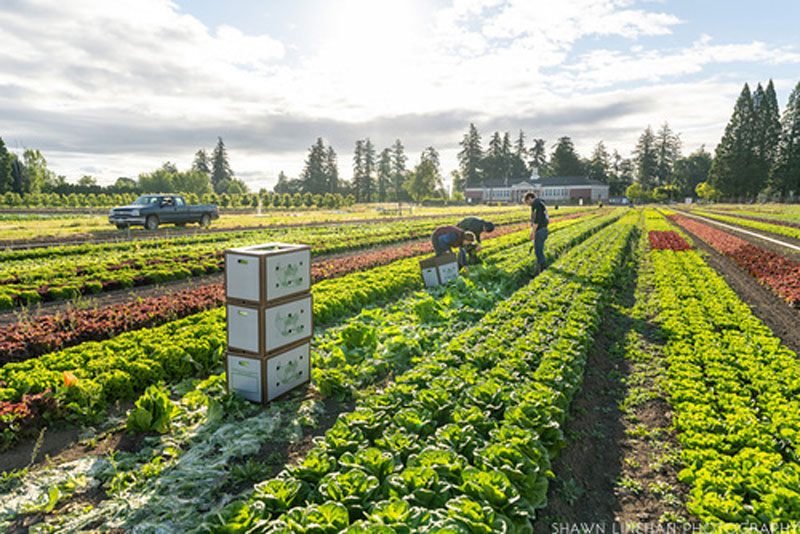 2021_Commonplace_Farm_0015